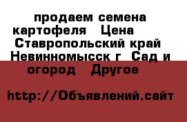продаем семена картофеля › Цена ­ 20 - Ставропольский край, Невинномысск г. Сад и огород » Другое   